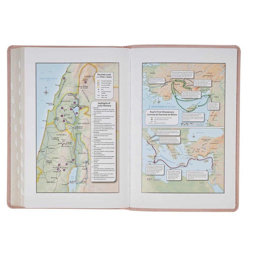 KJV Bible Thinline LP Faux Leather Trust, Pink