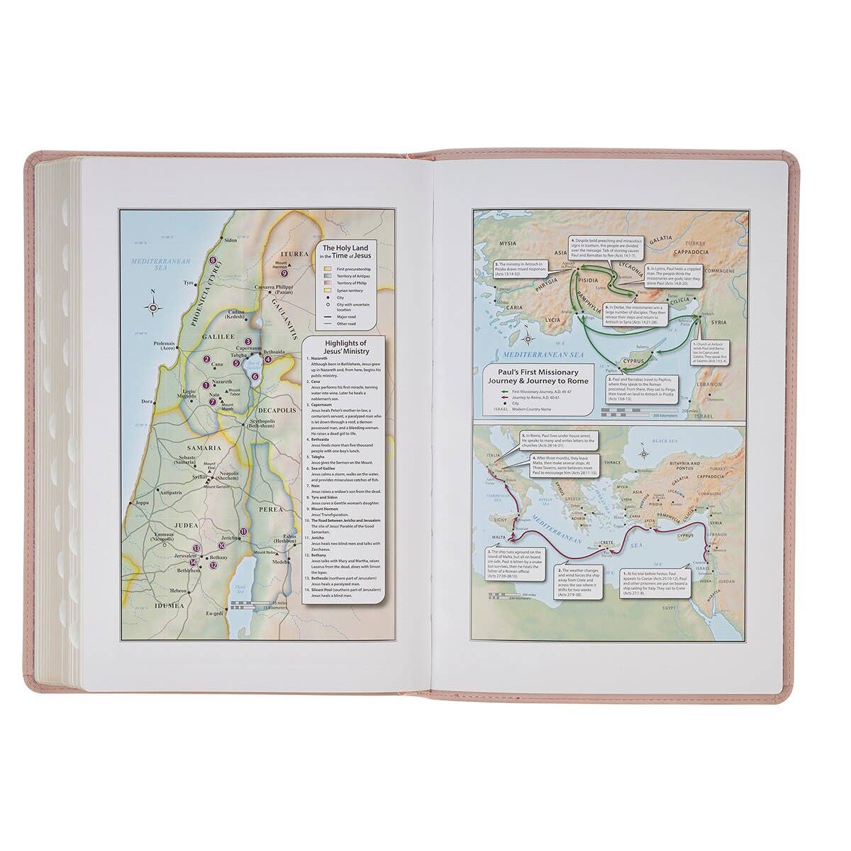 KJV Bible Thinline LP Faux Leather Trust, Pink