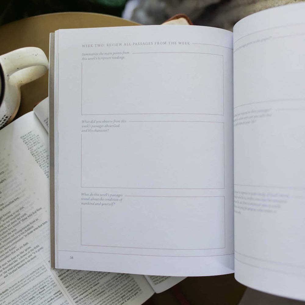 Peace for the Anxious Heart Bible Study