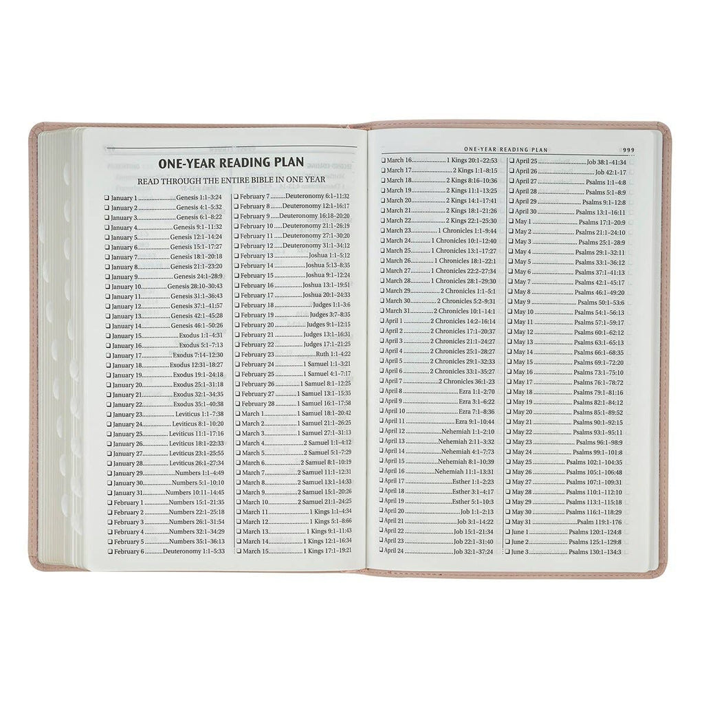 KJV Bible Thinline LP Faux Leather Trust, Pink